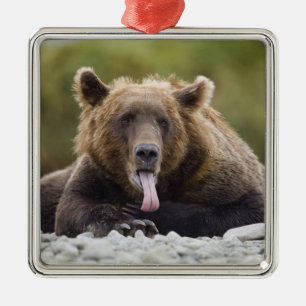 USA, Alaska, Katmai National Park, Kukak Bay, Metal Tree Decoration