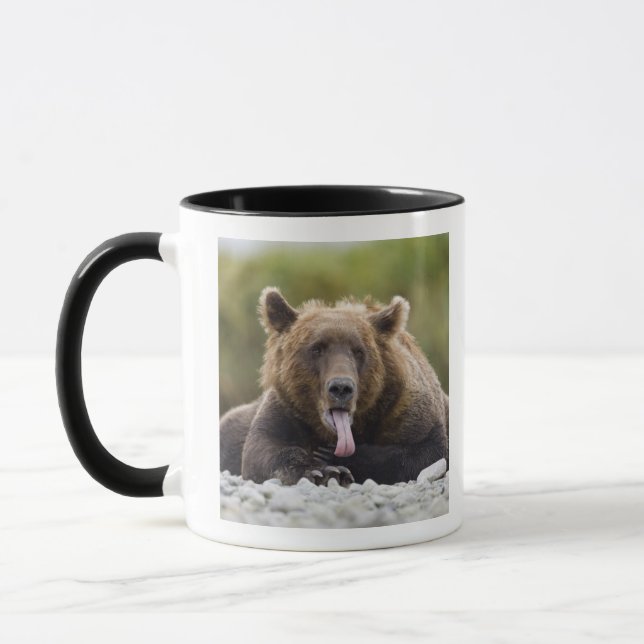 USA, Alaska, Katmai National Park, Kukak Bay, Mug (Left)