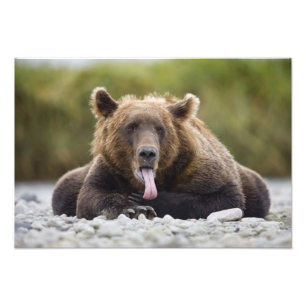 USA, Alaska, Katmai National Park, Kukak Bay, Photo Print