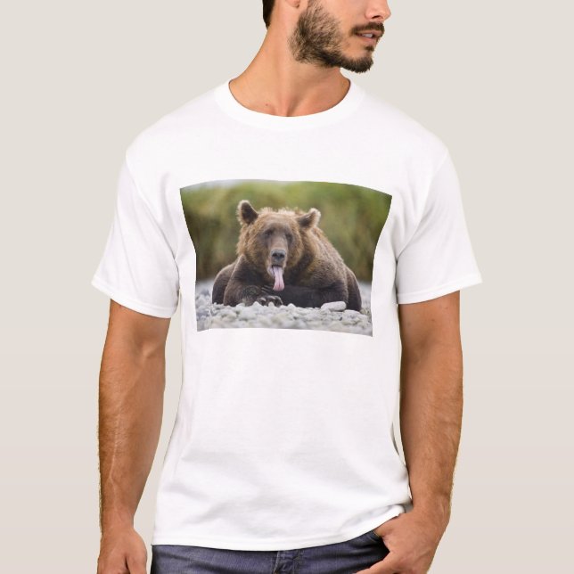 USA, Alaska, Katmai National Park, Kukak Bay, T-Shirt (Front)