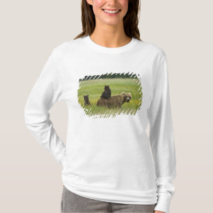 USA, Alaska, Lake Clark National Park T-Shirt