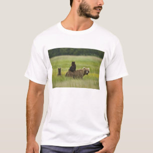 USA, Alaska, Lake Clark National Park T-Shirt