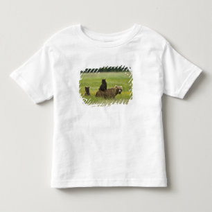 USA, Alaska, Lake Clark National Park Toddler T-Shirt