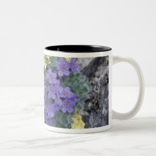 USA, Alaska National Wildlife Refuge (ANWR). 2 Two-Tone Coffee Mug