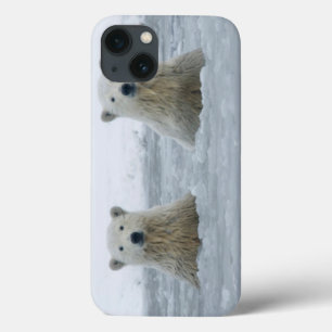 USA, Alaska, North Slope, 1002 Area 2 iPhone 13 Case