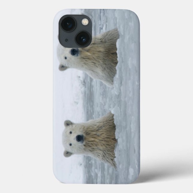 USA, Alaska, North Slope, Polar Bears Case-Mate iPhone Case (Back)