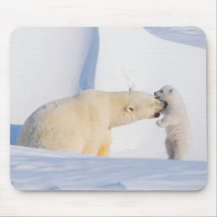 USA, Alaska, North Slope   Polar Bears Mouse Mat