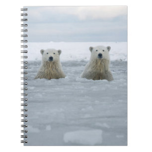 USA, Alaska, North Slope, Polar Bears Notebook