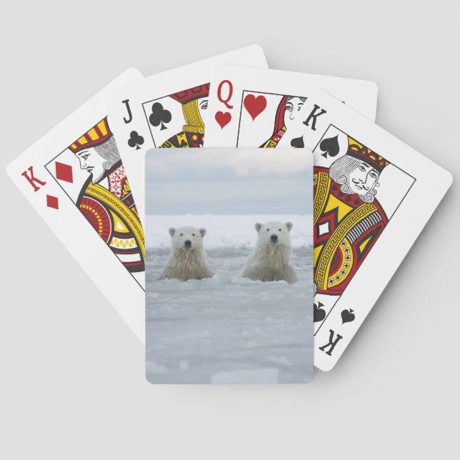 USA, Alaska, North Slope, Polar Bears Playing Cards (Back)