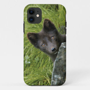 USA, Alaska, Pribilof Islands, St Paul. Blue iPhone 11 Case