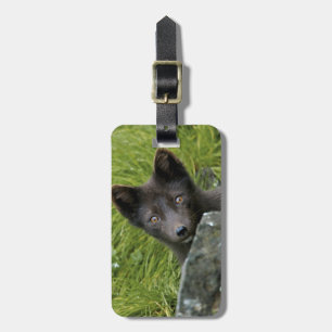 USA, Alaska, Pribilof Islands, St Paul. Blue Luggage Tag
