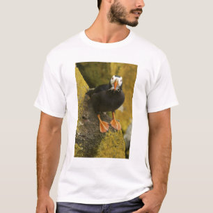 USA, Alaska, Pribilof Islands, St Paul. Tufted T-Shirt