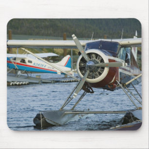 USA, ALASKA, Southeast Alaska, KETCHIKAN: Mouse Mat