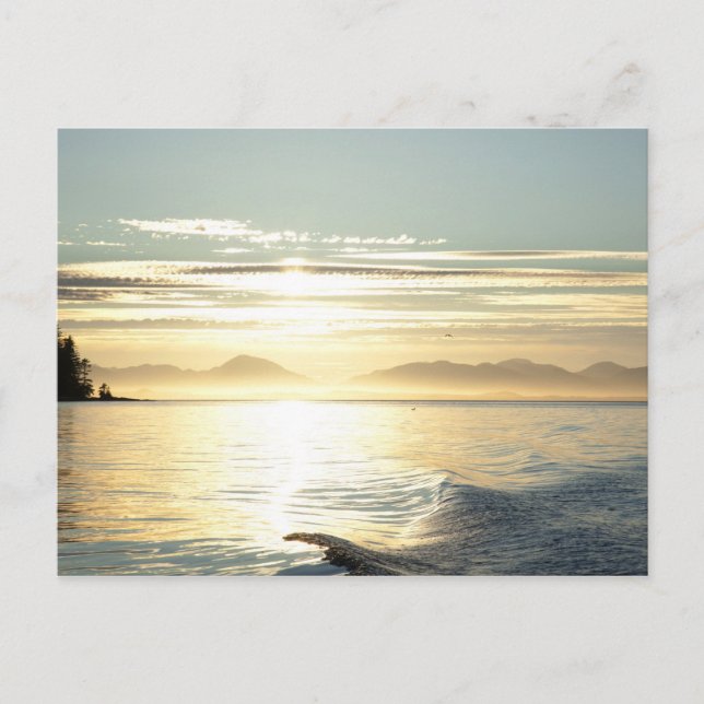 USA, Alaska, Southeast near Ketchikan, sunset. Postcard (Front)