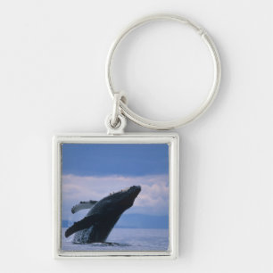 USA, Alaska, Tongass National Forest, Humpback Key Ring