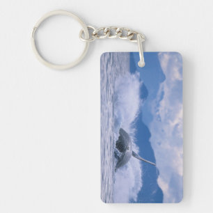 USA, Alaska, Tongass National Forest, Humpback Key Ring