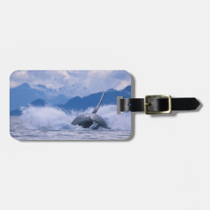 USA, Alaska, Tongass National Forest, Humpback Luggage Tag
