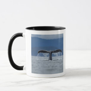 USA, Alaska, Tongass National Forest, Humpback Mug
