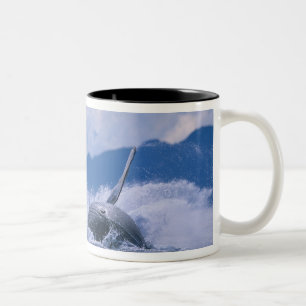 USA, Alaska, Tongass National Forest, Humpback Two-Tone Coffee Mug