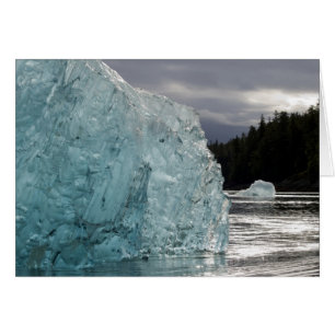 USA, Alaska, Tongass National Forest, Tracy 2