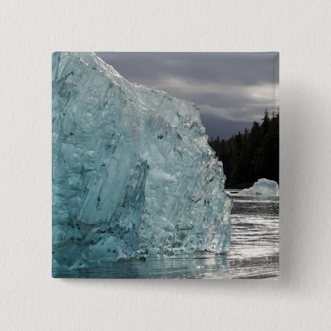 USA, Alaska, Tongass National Forest, Tracy 2 15 Cm Square Badge (Front)