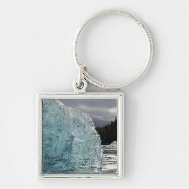 USA, Alaska, Tongass National Forest, Tracy 2 Key Ring (Front)