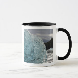 USA, Alaska, Tongass National Forest, Tracy 2 Mug