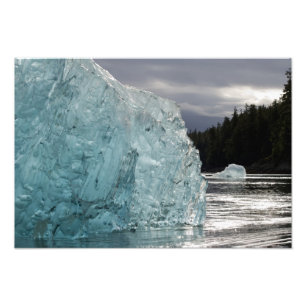 USA, Alaska, Tongass National Forest, Tracy 2 Photo Print