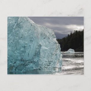 USA, Alaska, Tongass National Forest, Tracy 2 Postcard