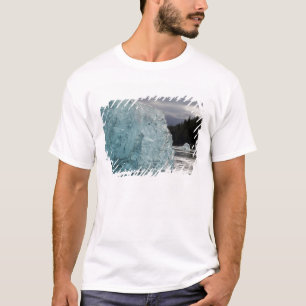 USA, Alaska, Tongass National Forest, Tracy 2 T-Shirt