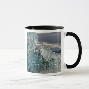 USA, Alaska, Tongass National Forest, Tracy 3 Mug