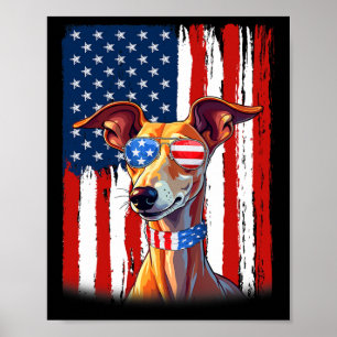 Usa America Flag Italian Greyhound Dog 4th Of July Poster