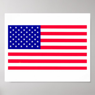 USA American US Flag Poster