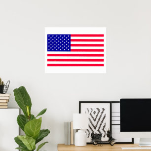 USA American US Flag Value Posters Paper Matte