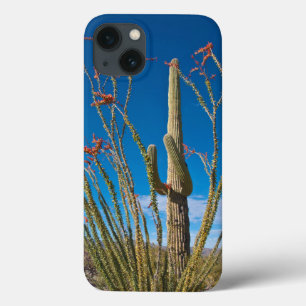 USA, Arizona. Cactus In Saguaro National Park iPhone 13 Case
