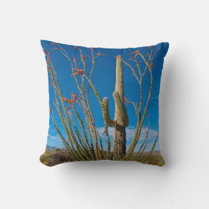 USA, Arizona. Cactus In Saguaro National Park Cushion