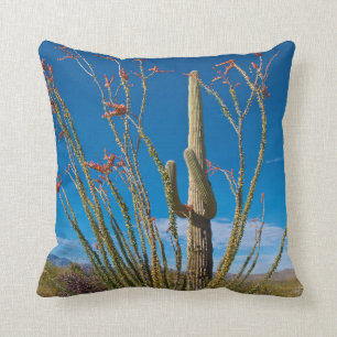 USA, Arizona. Cactus In Saguaro National Park Cushion