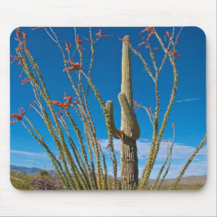 USA, Arizona. Cactus In Saguaro National Park Mouse Mat