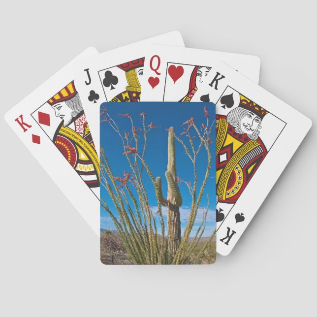 USA, Arizona. Cactus In Saguaro National Park Playing Cards (Back)