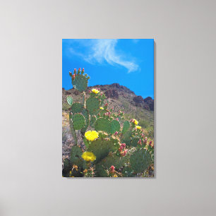USA, Arizona. Cactus In The Hills Canvas Print