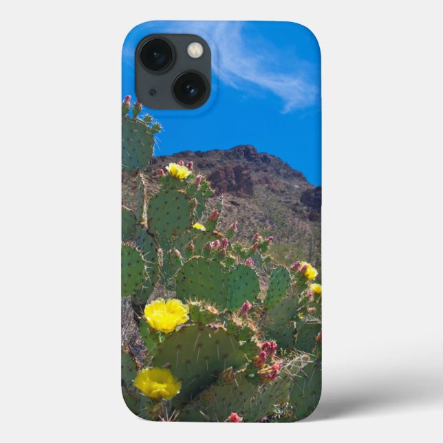 USA, Arizona. Cactus In The Hills Case-Mate iPhone Case (Back)