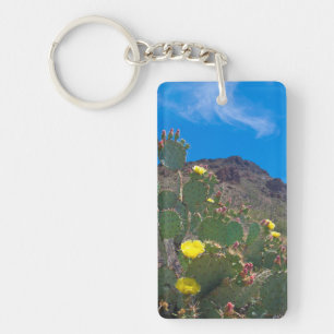 USA, Arizona. Cactus In The Hills Key Ring
