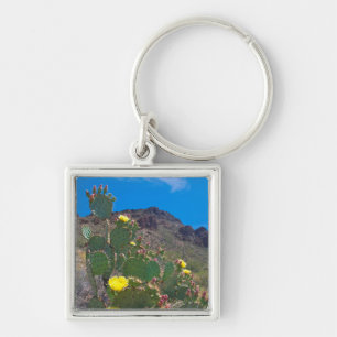 USA, Arizona. Cactus In The Hills Key Ring