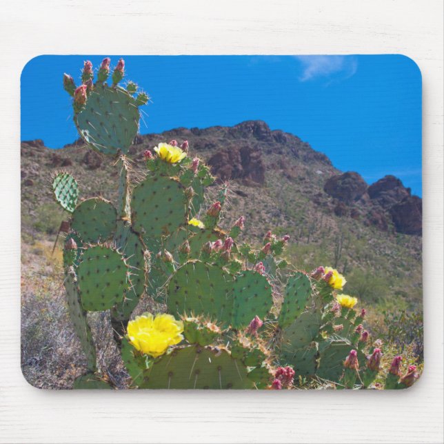 USA, Arizona. Cactus In The Hills Mouse Mat (Front)