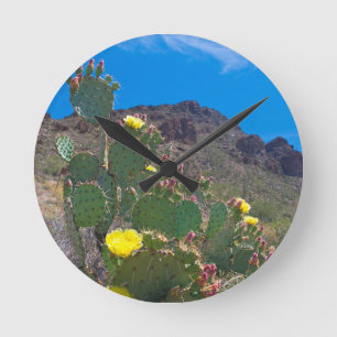 USA, Arizona. Cactus In The Hills Round Clock