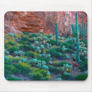 USA, Arizona. Desert Flora Mouse Mat