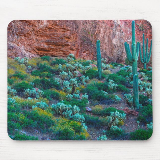 USA, Arizona. Desert Flora Mouse Mat (Front)