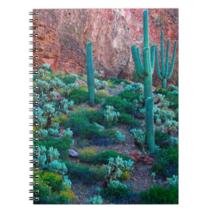 USA, Arizona. Desert Flora Notebook