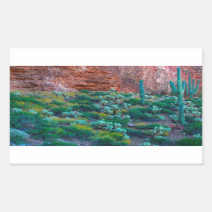 USA, Arizona. Desert Flora Rectangular Sticker