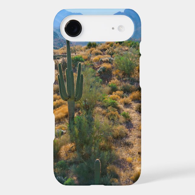 USA, Arizona. Desert View Case-Mate Samsung Galaxy Case (Back)
